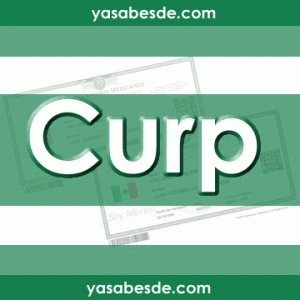 Curp